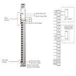 Beijer 100-8187 - 2 channel PWM output, 24VDC/2A, source, cage clamp, 18pt removable terminal - GT-5422