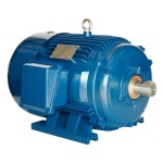 NAE PE449TS-300-4 Electric Motor General Purpose Heavy Duty Cast Iron, 460 Volt, 3 Phase, 300 HP, 330 Amp