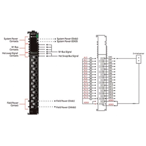 Beijer 100-8231 M317F Analog Inputs