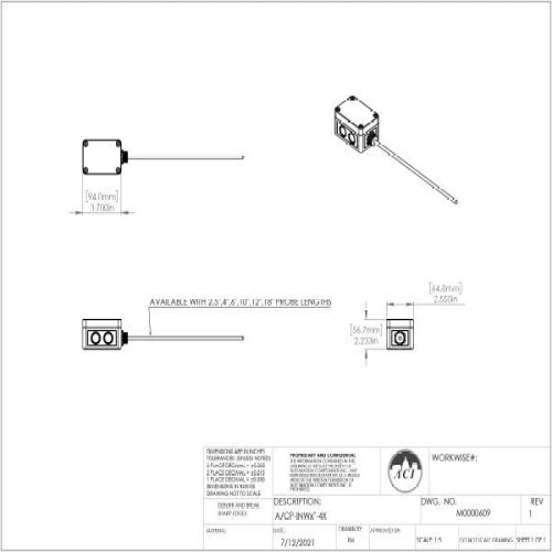 ACI 131461 A/TT1K-INW-4"-4-4X-POTTED Immersion RTD