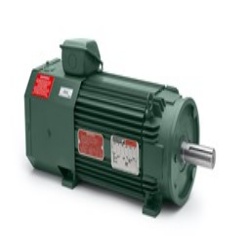 Baldor ZDPM28125-BV - TEAO, 3 Phase, 125 HP , 60 Hz