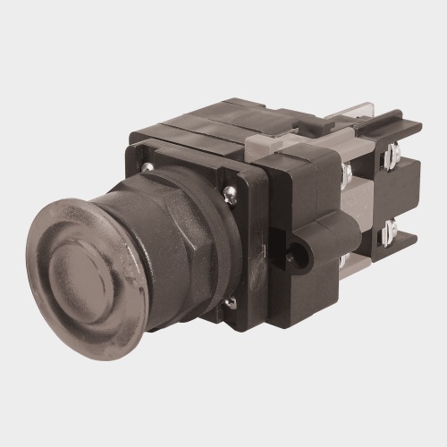 Benshaw R2PB30-IL2P-120-B - Illuminated Maintained Push Button, Mushroom 2-Position BLUE 120V