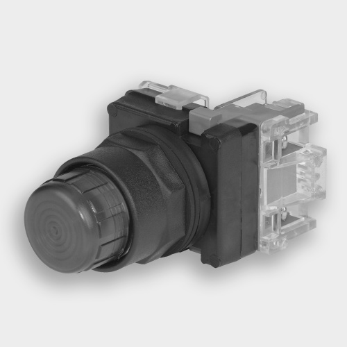 Benshaw R2PL30-TE-24-B - Push-To-Test Pilot Light, Extended BLUE 24V GOLD