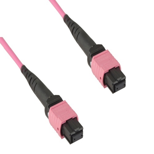 Cable MTP-B-FF-12-OM4-002 MPO/MTP Cable - 6.6', OM4, MTP - MTP, Plenum, Multimode, 50 Micron, Violet
