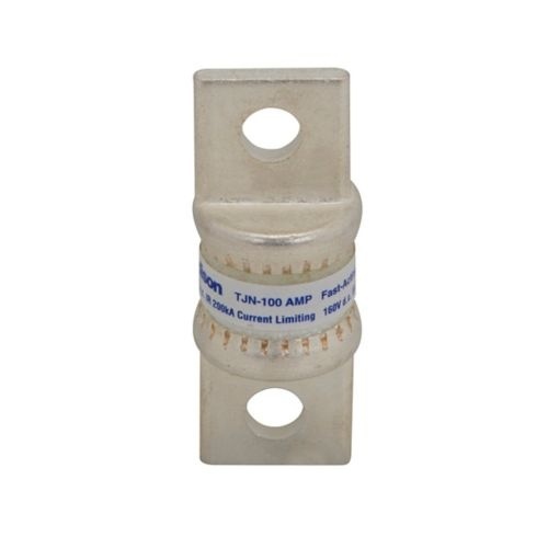 Edison TJN100 TJN Fuse - 100 Amp - Fast Acting