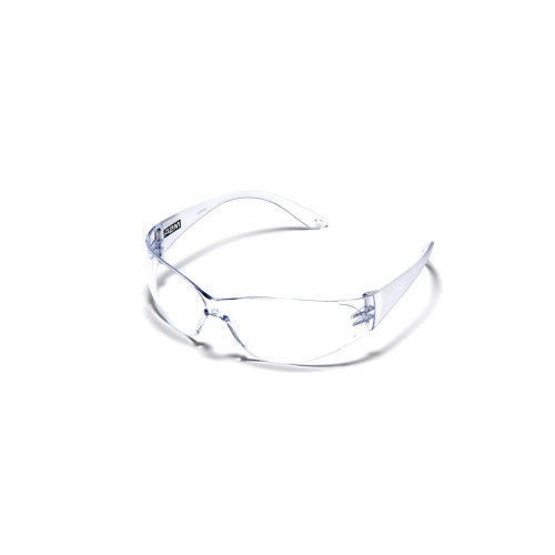 MSA 697514 Arctic Spectacles, Clear, Indoor