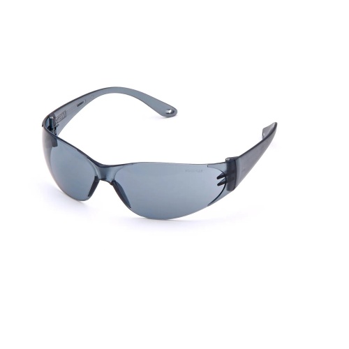 MSA 697515 Arctic Spectacles, Gray, Outdoor
