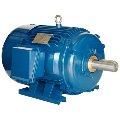 NAE PE213T-7.5-2-575V Electric Motor General Purpose Heavy Duty Cast Iron, 575 Volt, 3 Phase, 7.5 HP, 7 Amp
