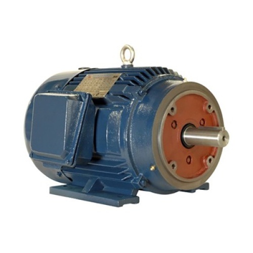 NAE PE405TSC-100-4 Electric Motor General Purpose Heavy Duty Cast Iron, 208-230 Volt, 460 Volt, 3 Phase, 100 HP, 248 - 224 Amp, 112 Amp