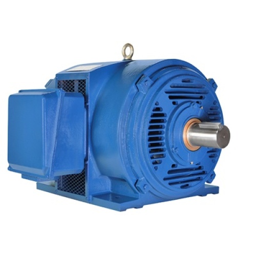 NAE PE447TS-300-2-ODP Electric Motor General Purpose Heavy Duty Cast Iron, 460 Volt, 3 Phase, 300 HP, 322 Amp