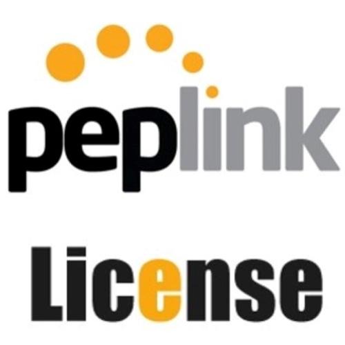Peplink PVN-LC-20 License
Up to 20 PepVPN - Balance One/BR1 ENT/MAX Transit