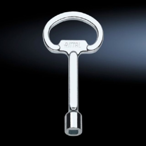 Rittal 2548000 Enclosure Keys