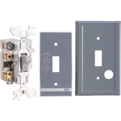 Schneider Electric 2510FF2 Manual Starter, fractional horsepower, 16A, 2 poles, 1 HP at 277 VAC, toggle operated, no indicator, NEMA 1 flush mount