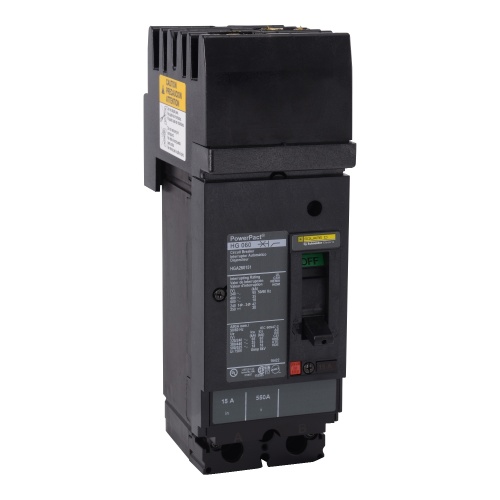 Schneider Electric HGA261101 - PowerPact H Circuit breaker, 110 Amp, Two Pole, 65 kA, 690 VAC