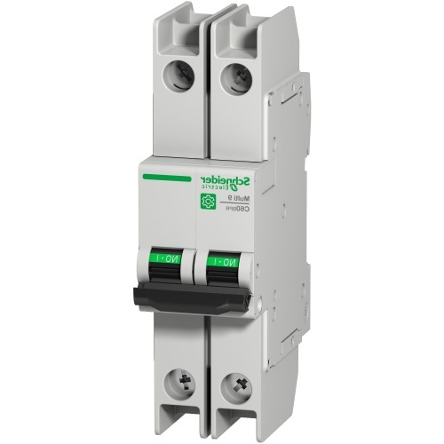 Schneider Electric M9F52206 Two Pole 6 Amp Breaker