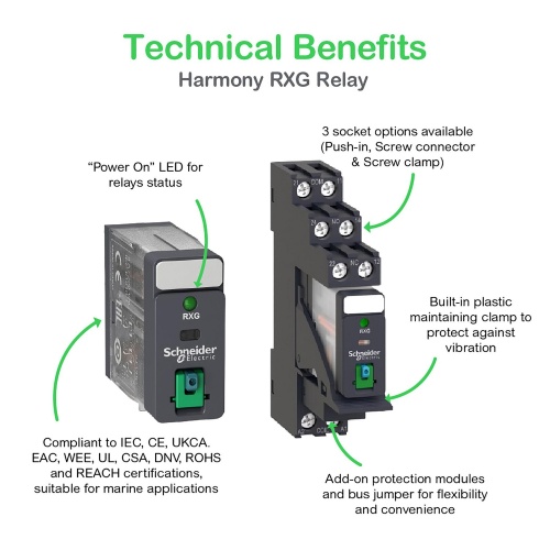 Schneider Electric RXG21BD Interface plug-in relay, 5 A, 2 CO, lockable test button, 24 V DC