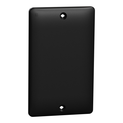 Schneider Electric SQWS140001BK - Blank plate, X Series, 1 gang, black, matte finish