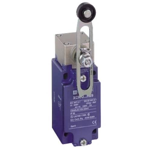 Schneider-XCKJ10541H29.jpg