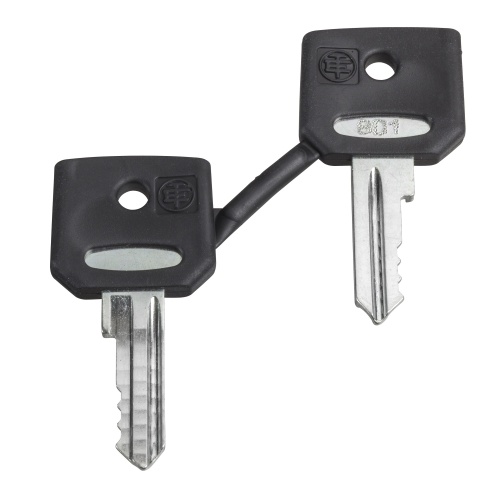 Schneider Electric ZBG455P set of 2 keys 455 with one booted