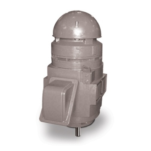 TECO VSP2504 Motor - 250 HP, WPI, 460 VAC, 1800 RPM, 447VP20 Frame